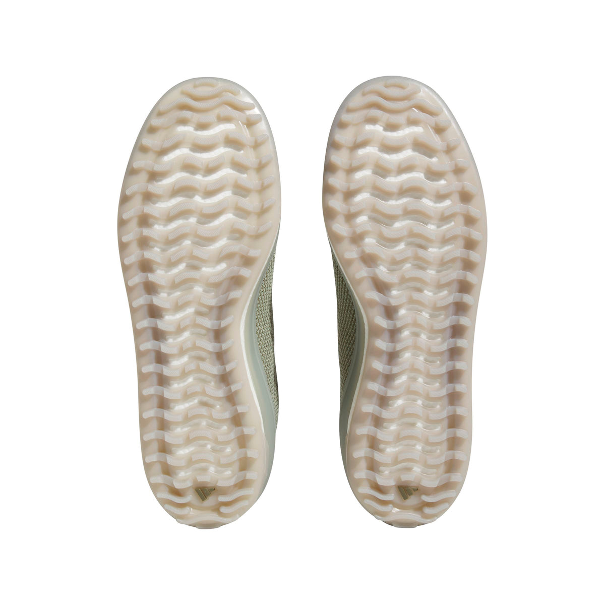 Adidas Chaussure de golf GO TO SPKL 1